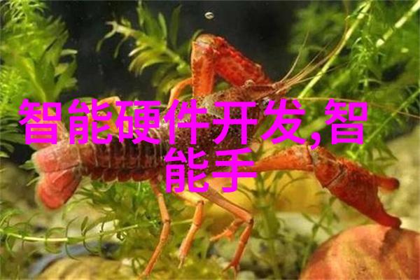 个人成长回顾从梦想起航到现实砥砺前行