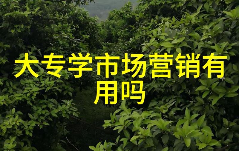 芯片解密公司 - 破解芯片秘密芯片解密公司如何揭开集成电路的神秘面纱