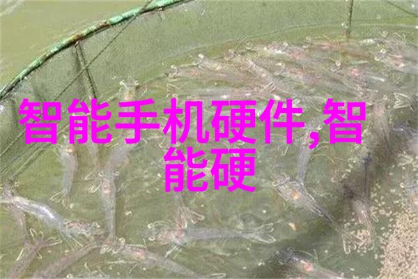 工作效率的钥匙人力资源部如何运用人才评估测试