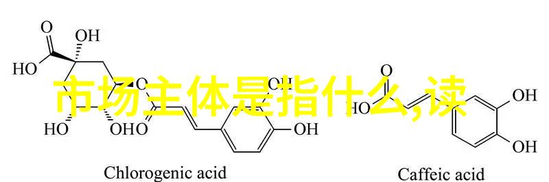 将理论转化为实践实例分享和案例研究指导我们如何进行更好的训练