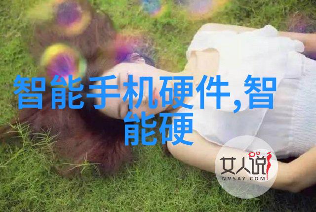 人才胜任力测评方法研究基于多元智能理论的个性化评估模型构建与应用