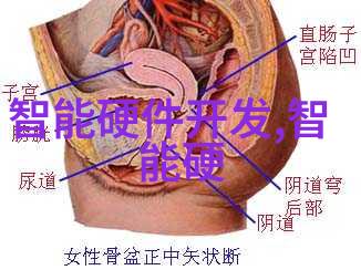 郑州财经学院铸就财经学者的传奇故事