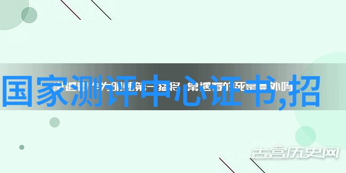 人才评估测试答案解析揭秘职业素养与技能评估的关键