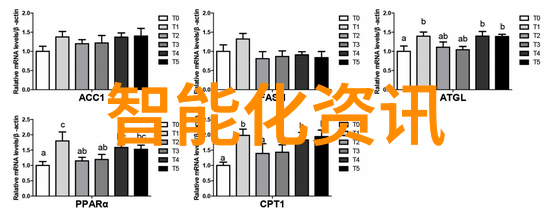 成都职业技术学院的特色项目和活动有哪些