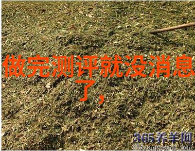 打造无缝体验商用密码应用安全测评机构的最佳实践指南