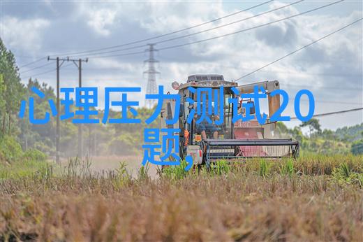 上海市民安全感受紧张2022年砍人事件频发引关注