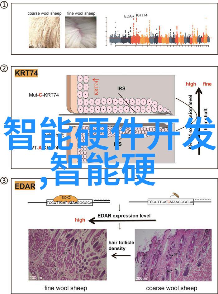 解密倍智之谜揭开通往人才测评高峰的秘密