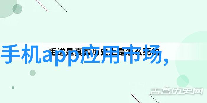 大学生实践报告3000字-青春实践录大学生3000字深度探究