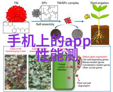 寒冷的冬夜温暖的财经梦吉林财经大学