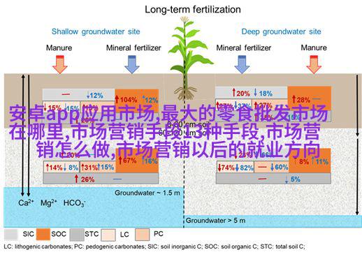 新手必看10条经典构图法则