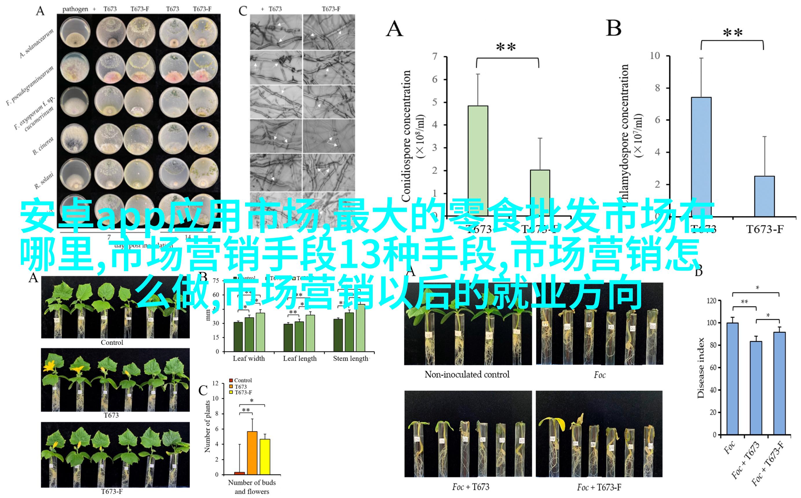 新手必看10条经典构图法则