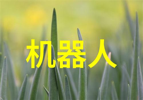 中央财经大学研究生院卓越学术探索与专业人才培养的殿堂