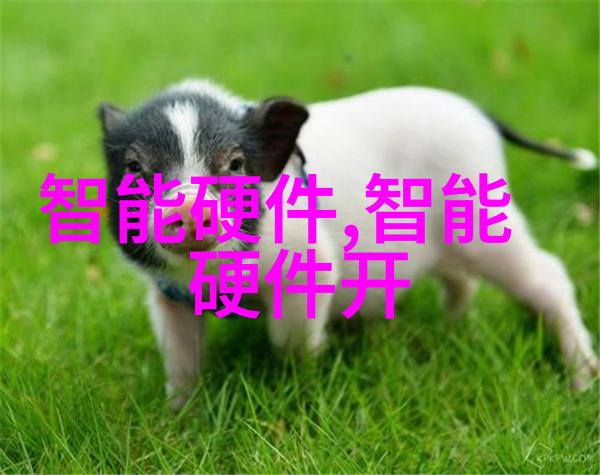 场地平整筑巢之石绿茵成梦