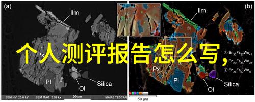 中国芯片惊天骗局我亲眼见证了这场科技界的大戏