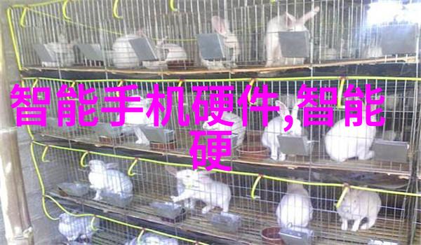 中南财经大学 - 谱写新篇章中南财经大学的学术与创新探索