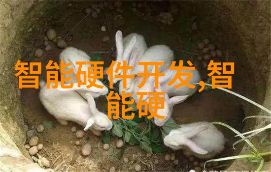 华为新品发布会亮相华为最新智能手机平板电脑无线耳机新款智能手表超光速充电器AI语音助手云计算服务升级