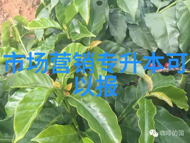 华為雙響炮打破市場局面  全Flash技術帶來前所未有的用戶體驗