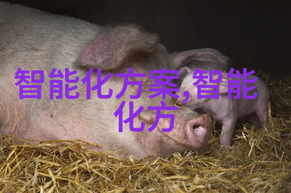 中国石化出版社我是怎么在中国石化出版社遇到那本改变命运的书的