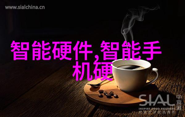 芯片梦碎前夕中国如何应对台积电难题