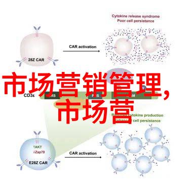 云南财经职业学院-翱翔南国之巅云南财经职业学院的成长与发展