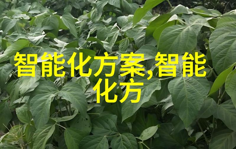 集成电路与芯片的区别探究微电子技术中的差异分析