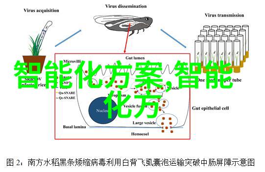 深入解析如何影响一颗芯片有几层