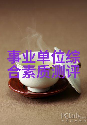 芯片制作流程揭秘从设计到成品的精细工艺