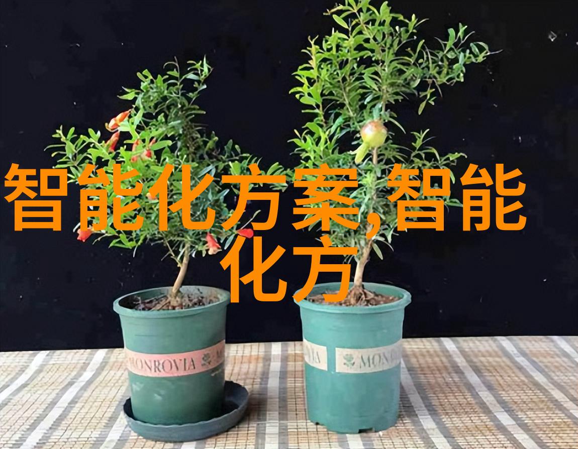 常州机电职业技术学院锻造未来精益求精的机械与电子教育殿堂