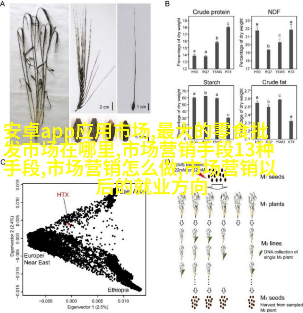 新手必看10条经典构图法则