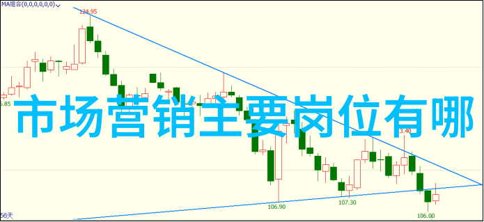 上海应用技术大学学生期待LG新款电视支持AirPlay 2和HomeKit年中更新带来智能生活体验