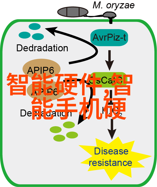 浙江省人形机器人产业创新发展实施方案(20242027年)