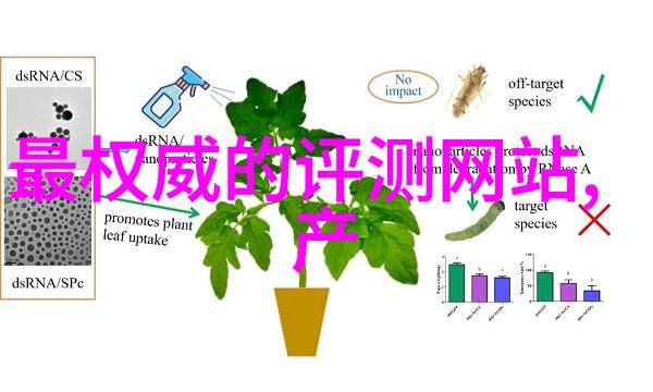 应对挑战增强自信人才胜任力的动态监控方法