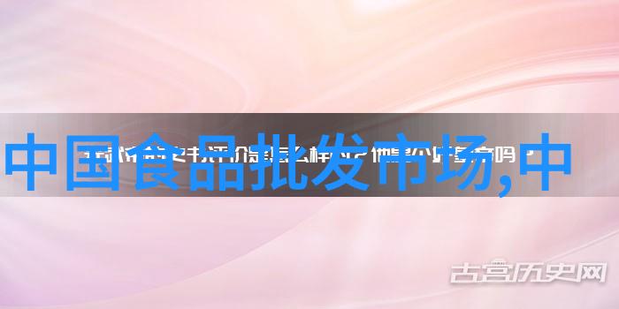 在家中安装小型电热蒸汽发生器是否经济高效