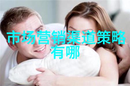 项目评估策略之翼