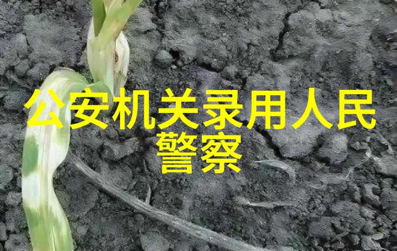 工作总结报告模板我是如何用这份神器来回顾一年中的成就与挑战的