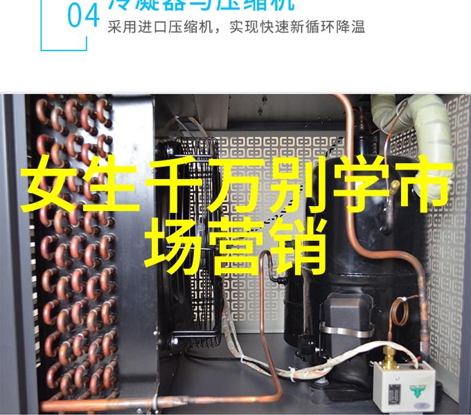 项目可行性报告编制指南构建成功项目的基础篇章