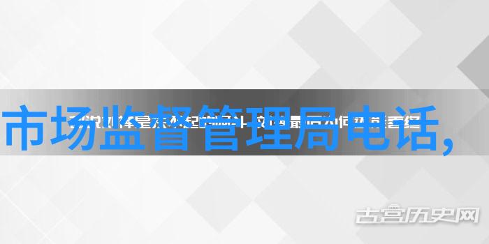 领导干部应该如何确保其报告内容的真实性和完整性