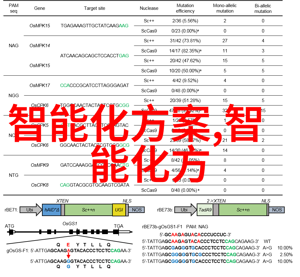 国产替代半导体芯片龙头股-逆袭之路探索中国芯片产业的崛起与未来