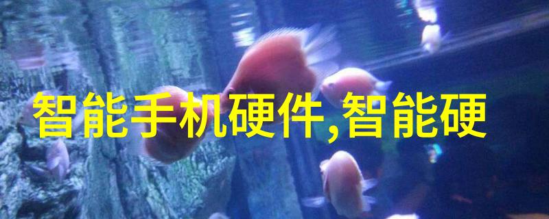 智能设备方案未来生活中能否完全依赖于这些高科技的伙伴