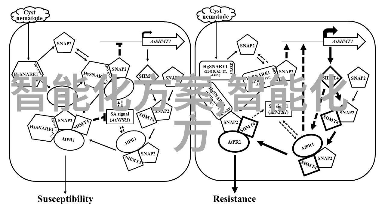 深港合作的火炬深圳技术大学的创新梦想