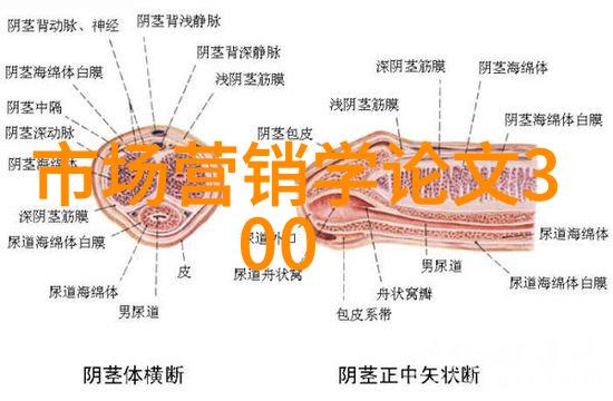 市场是什么它是人与人之间的交汇点还是商品与需求的舞台