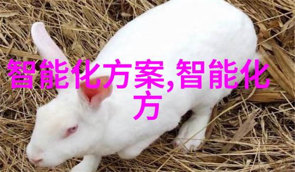 钢管消防涂塑生产厂家精准焊接异径大小头守护你的安全生活空间