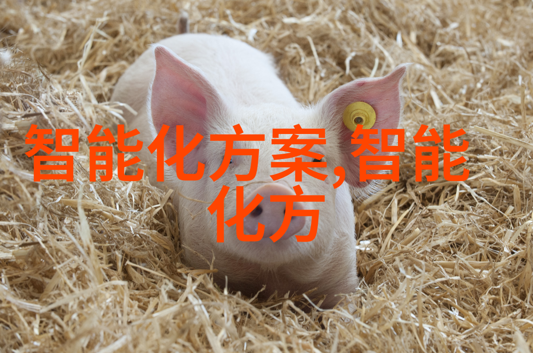 八字学探取名字生辰八字起名的古今哲学与实践
