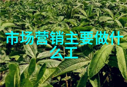 男孩的车库秘密探索rh男男车车视频软件的魅力与应用