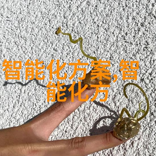 湖南现代物流职业技术学院支持学生参与实习还是海外交流项目吗