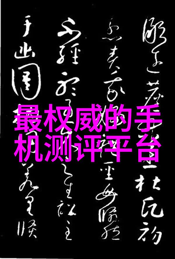 中国软件第三方测评机构确保软件质量的守护者