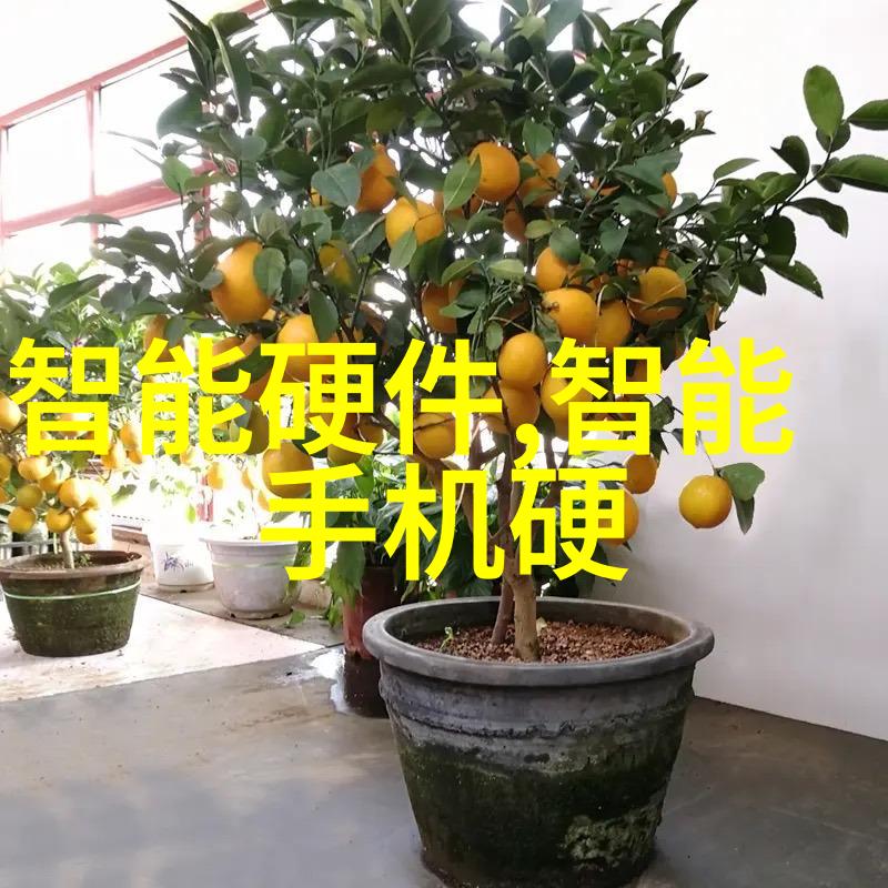 报告的正确范文之谜