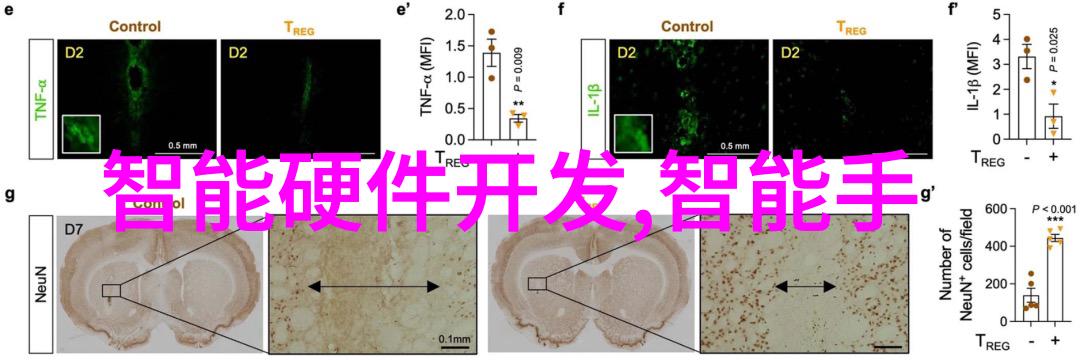 全球最先进的智能机器人能否超越人类智能