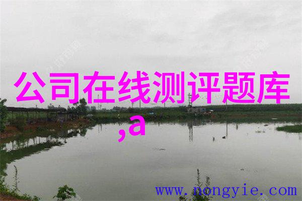 北京等保测评公司-京城守护者揭秘北京等保测评公司的安全保障之道