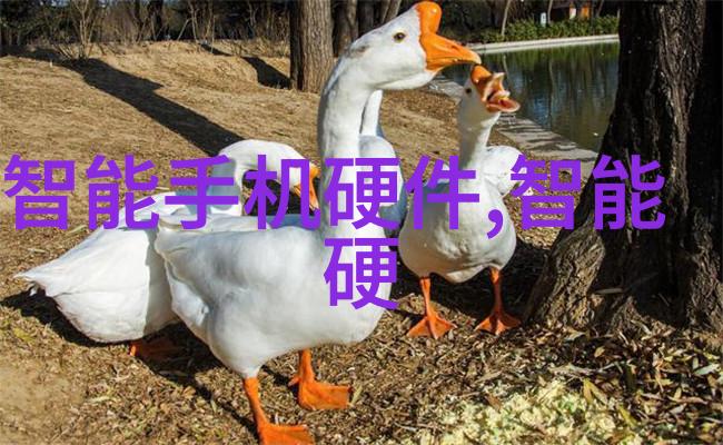 市场营销的边界识别不适合从事的人群